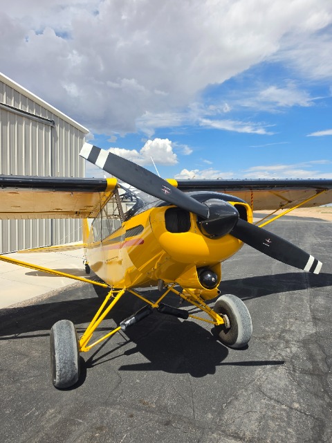 1982 Piper Super Cub PA-18 photo 3