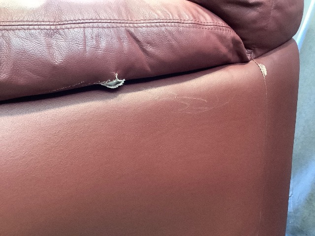 Red Oxblood 3 Seater Sofa photo 5