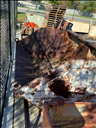 Metal Yard Bin